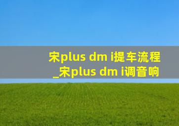 宋plus dm i提车流程_宋plus dm i调音响